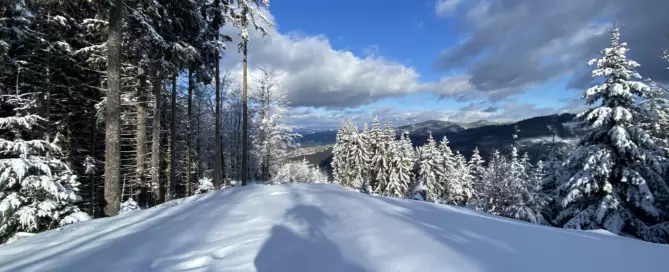 Ein Kachelofen bringt Wärme und Gemütlichkeit in der kalten Jahreszeit.